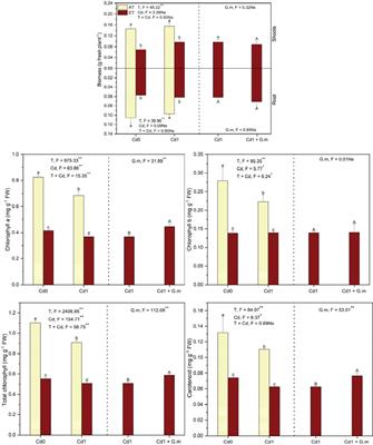 Glomus mosseae improved the adaptability of alfalfa (Medicago sativa L.) to the coexistence of cadmium-polluted soils and elevated air temperature